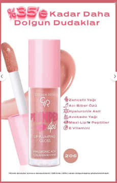 Golden Rose Plumped Lips Lip Plumping Gloss No: 206