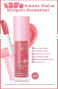 Golden Rose Plumped Lips Lip Plumping Gloss No: 210