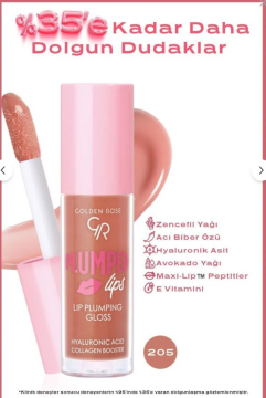Golden Rose Plumped Lips Lip Plumping Gloss No: 205