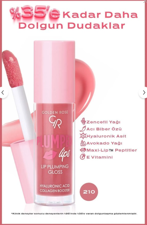 Golden Rose Plumped Lips Lip Plumping Gloss No: 210