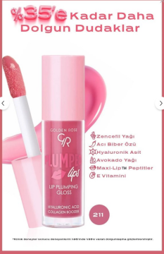 Golden Rose Plumped Lips Lip Plumping Gloss No: 211
